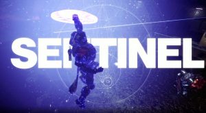 DESTINY SENTINEL