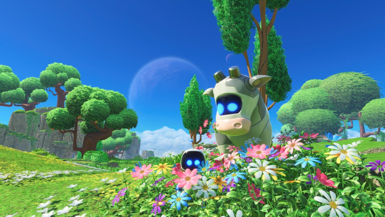 191bec02c3d69 screenshotUrl