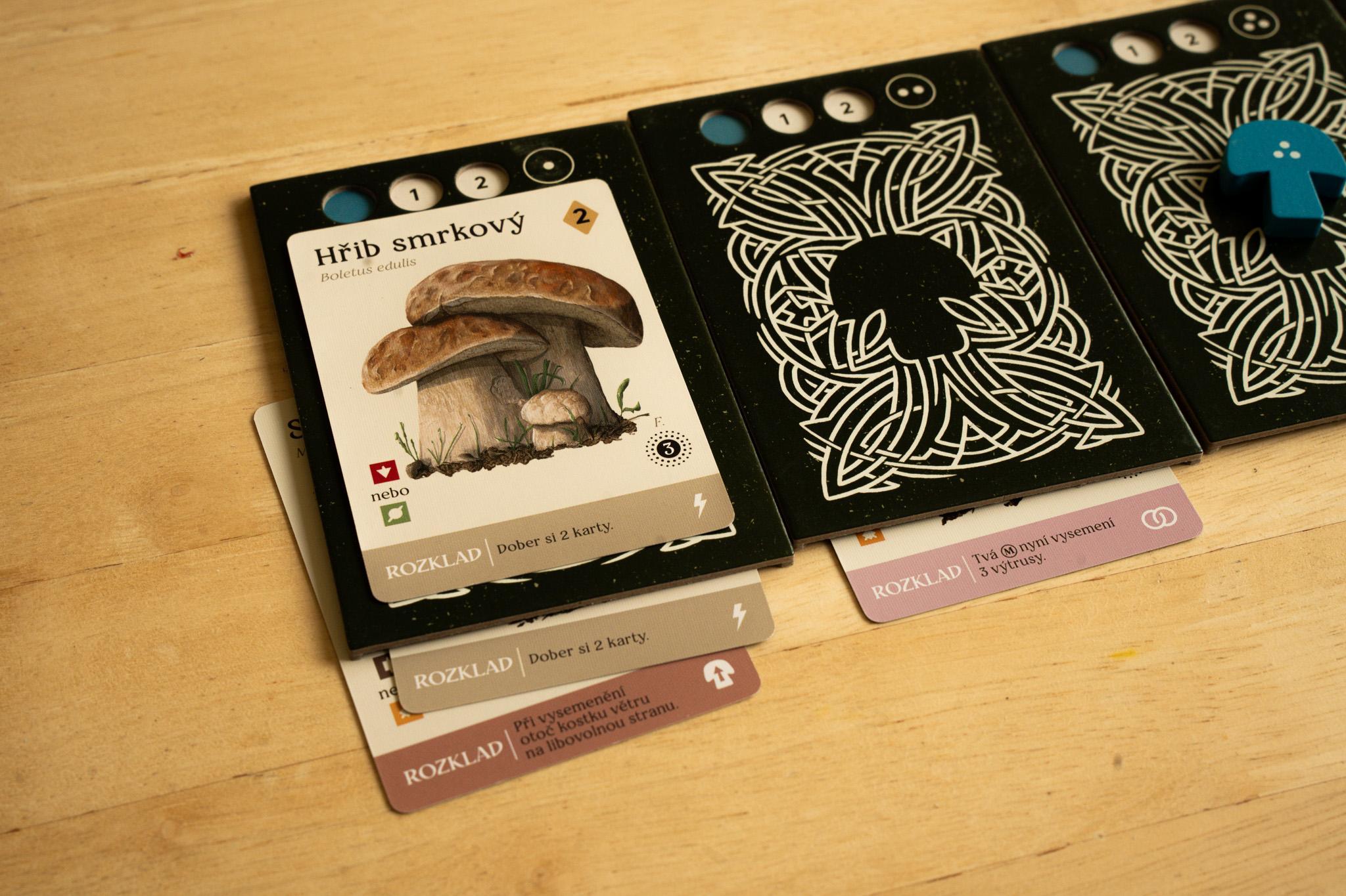 DESKOVKA: Podhoubí - Když se houby rozprchnou po krajině 2 DSC03840