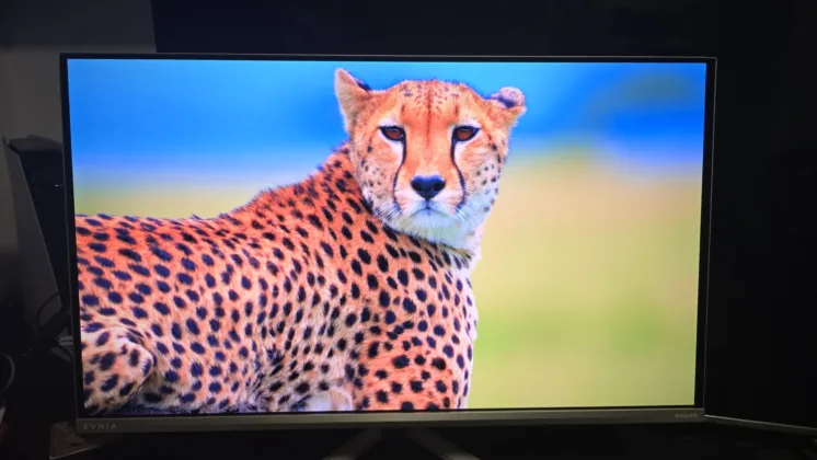 Philips Evnia 32M2N8900 recenze