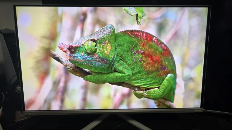 Philips Evnia 32M2N8900 recenze