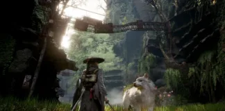 Beast of Reincarnation