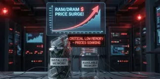 Globální výpadek RAM