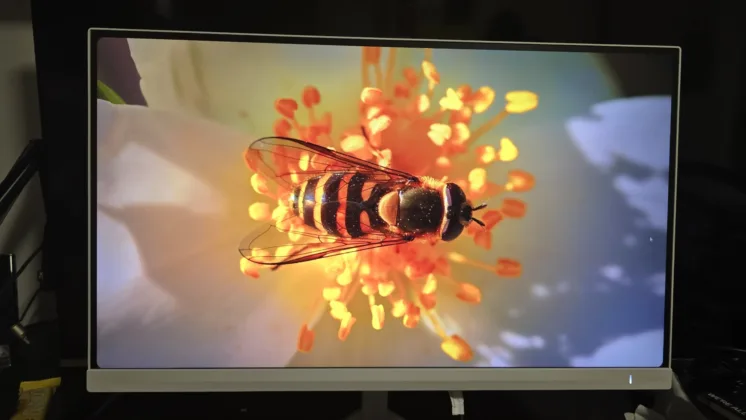 Philips Evnia 27M2N5201P monitor recenze