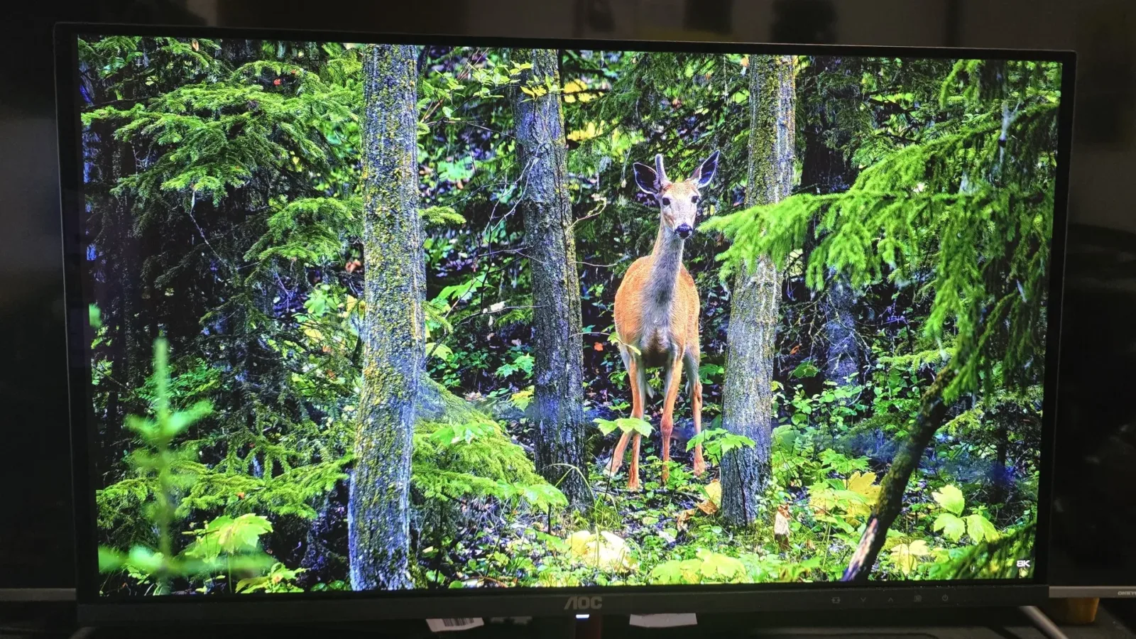 RECENZE: AOC Q27G4ZDR - OLED monitor za pár korun 5 AOC Q27G4ZDR recenze